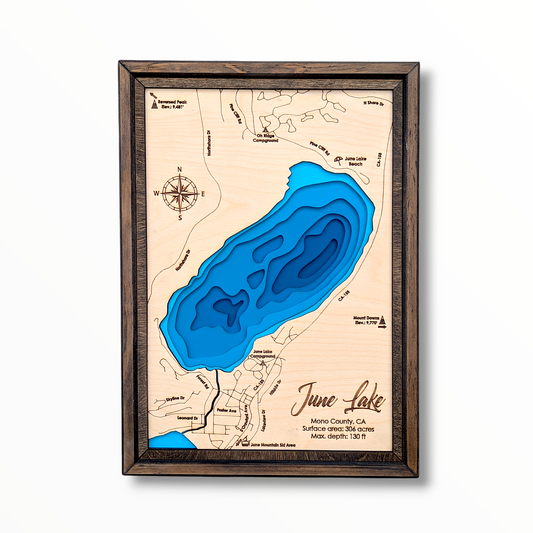June Lake Art | June Lake Bathymetry Map | Various Sizes