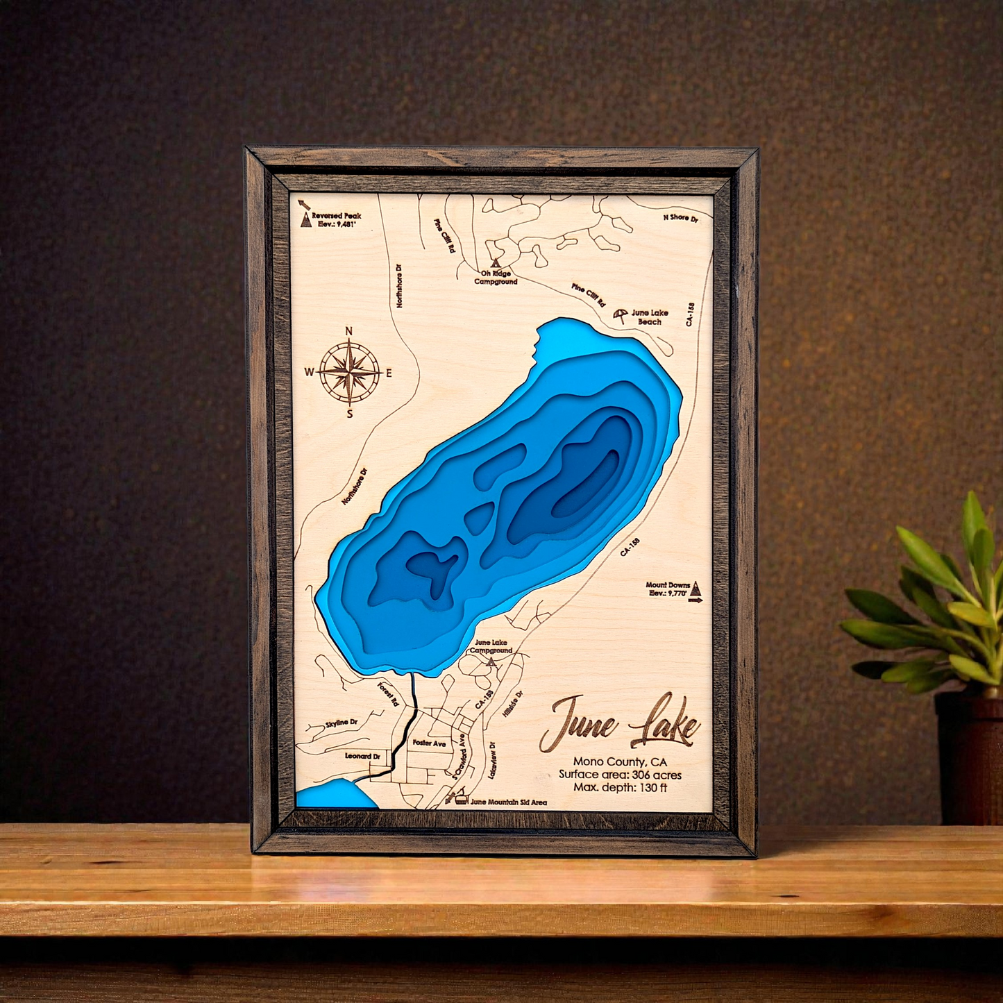 June Lake Art | June Lake Bathymetry Map | Various Sizes