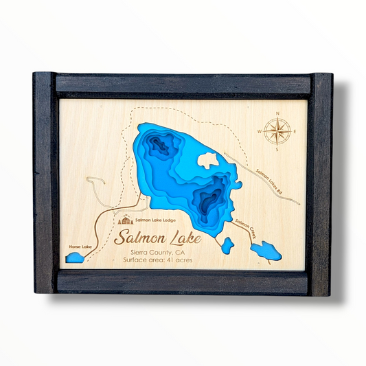 Salmon Lake Art | Salmon Lake Bathymetry Map | Various Sizes