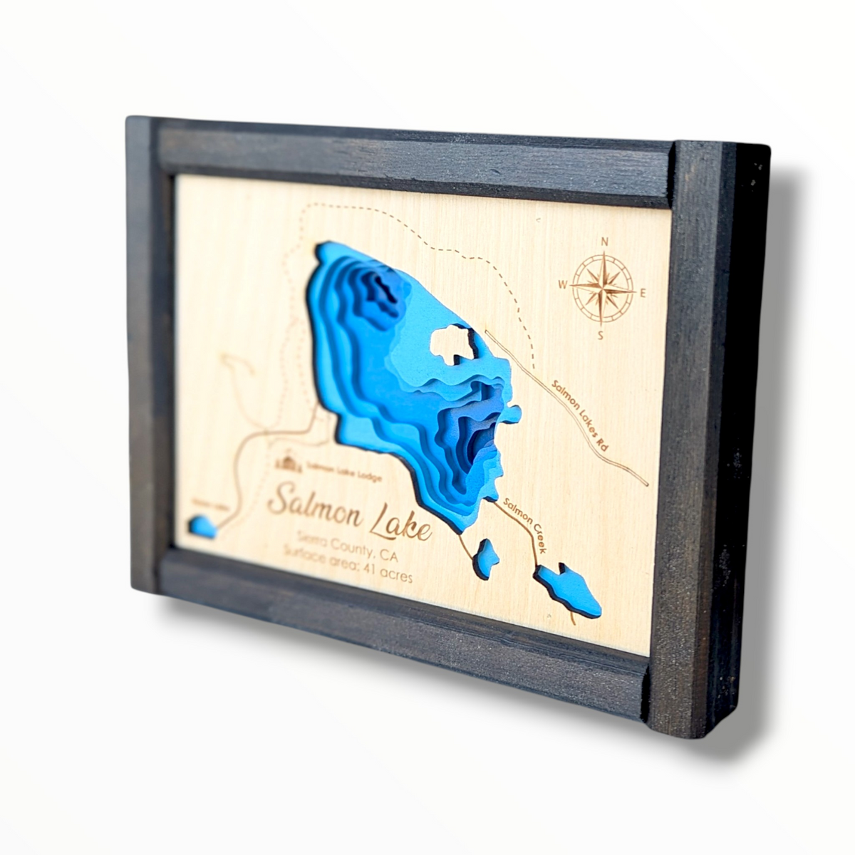 Salmon Lake Art | Salmon Lake Bathymetry Map | Various Sizes